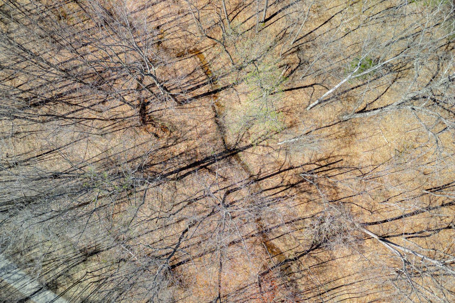 0 Christian Mill Creek Road Amherst, VA 24521 - Photo 16 of 27