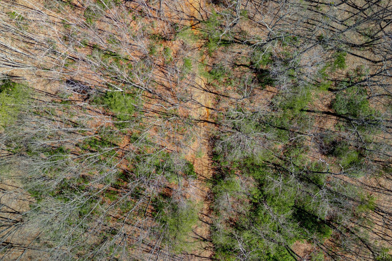 0 Christian Mill Creek Road Amherst, VA 24521 - Photo 18 of 27