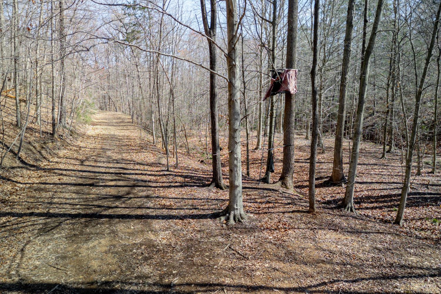 0 Christian Mill Creek Road Amherst, VA 24521 - Photo 19 of 27