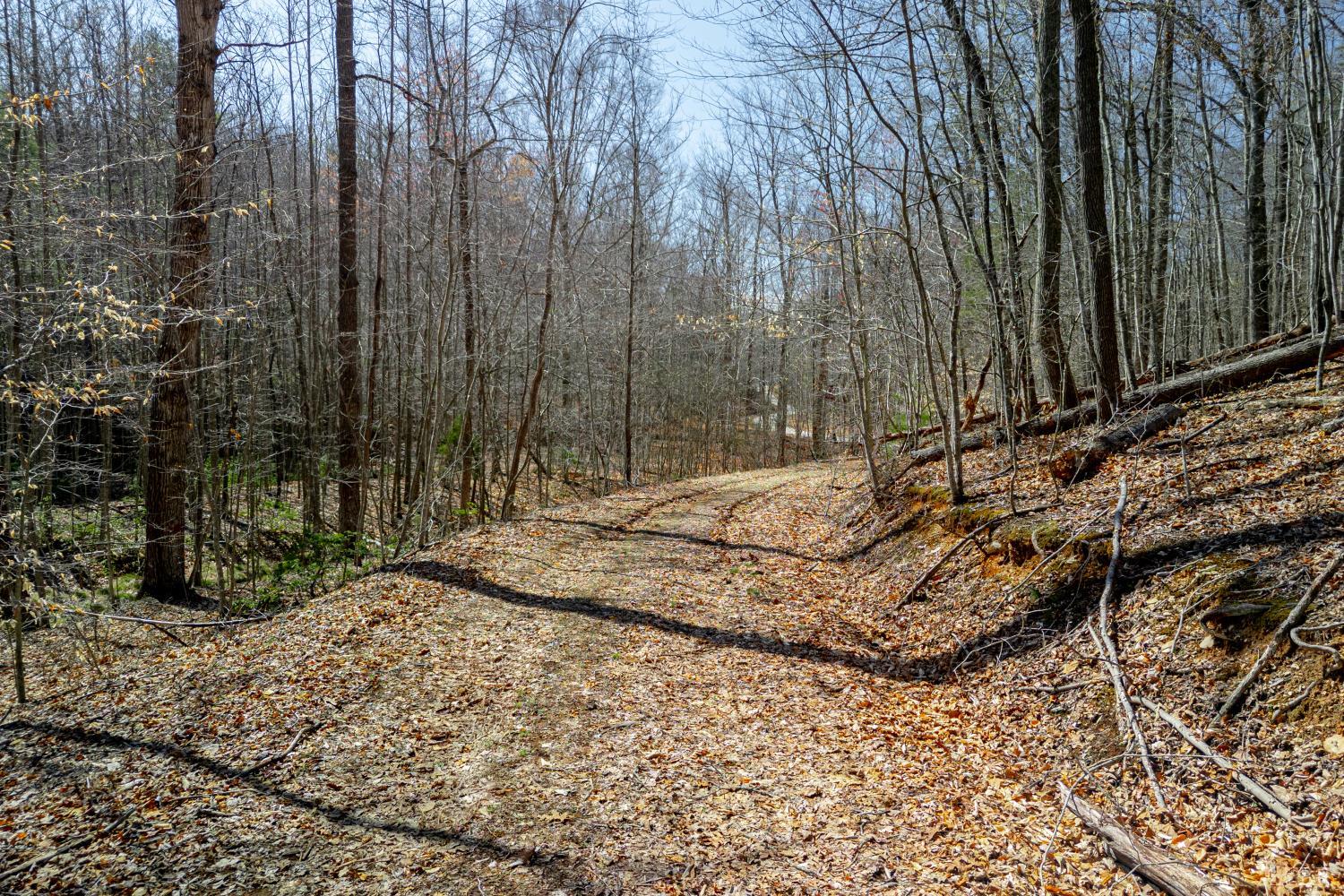 0 Christian Mill Creek Road Amherst, VA 24521 - Photo 21 of 27