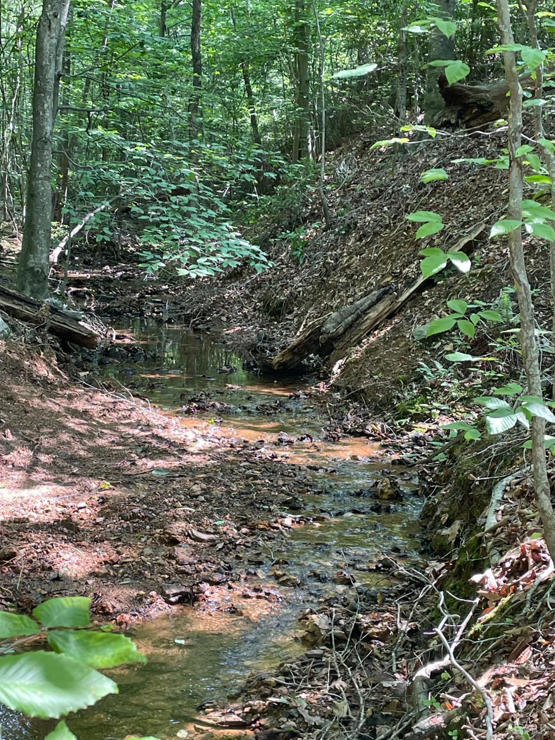 0 Christian Mill Creek Road Amherst, VA 24521 - Photo 3 of 8 a backyard of a house with lots of green space