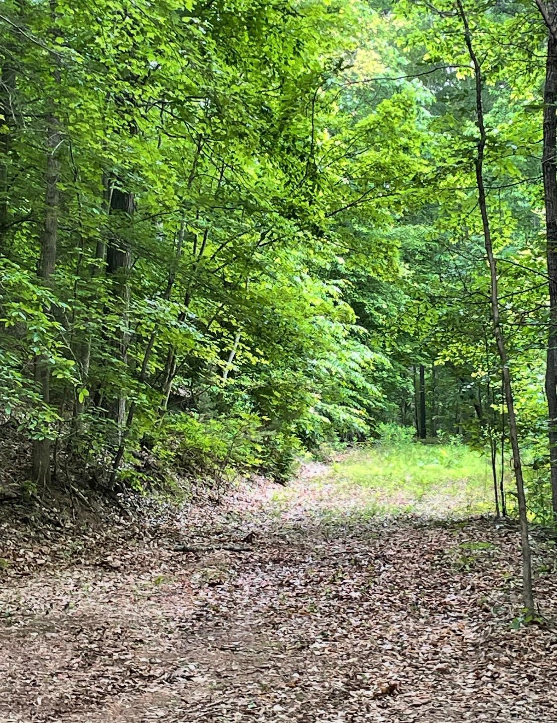 0 Christian Mill Creek Road Amherst, VA 24521 - Photo 5 of 8 a big yard with lots of green space and trees