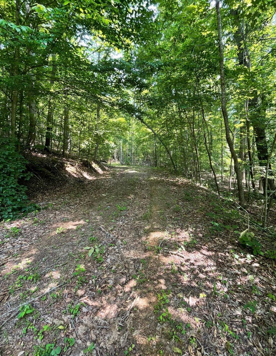0 Christian Mill Creek Road Amherst, VA 24521 - Photo 7 of 8 a view of a forest with trees