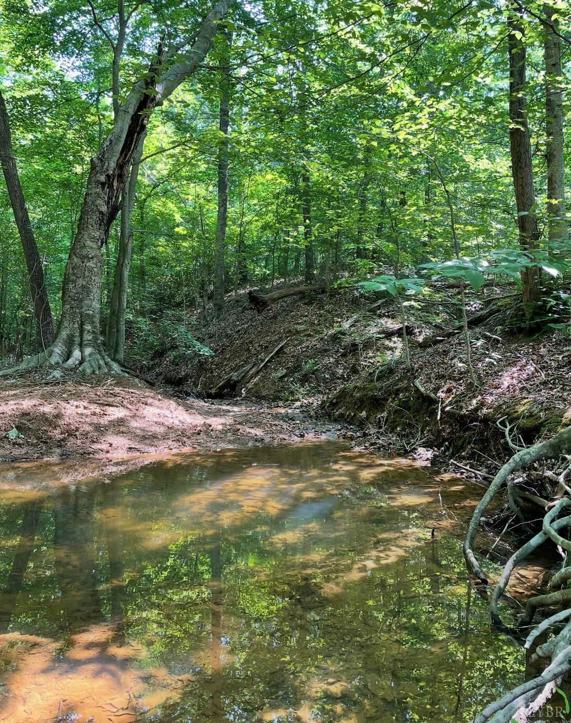 0 Christian Mill Creek Road Amherst, VA 24521 - Photo 8 of 8 a view of a tree next to a lake