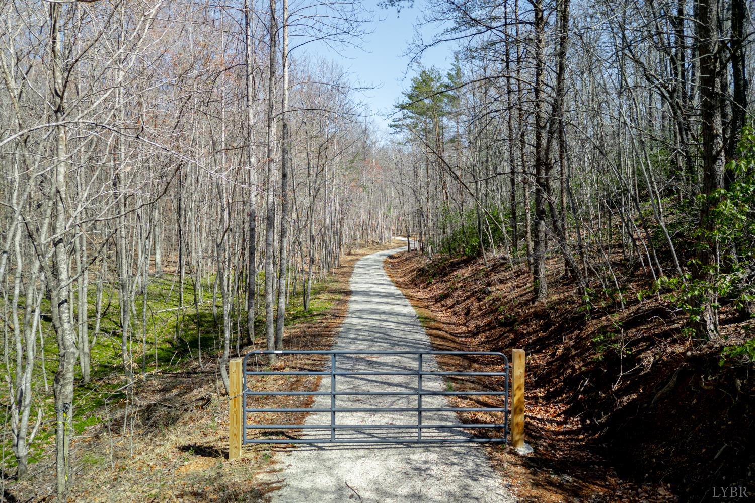 0 Christian Mill Creek Road Amherst, VA 24521 - Photo 9 of 27