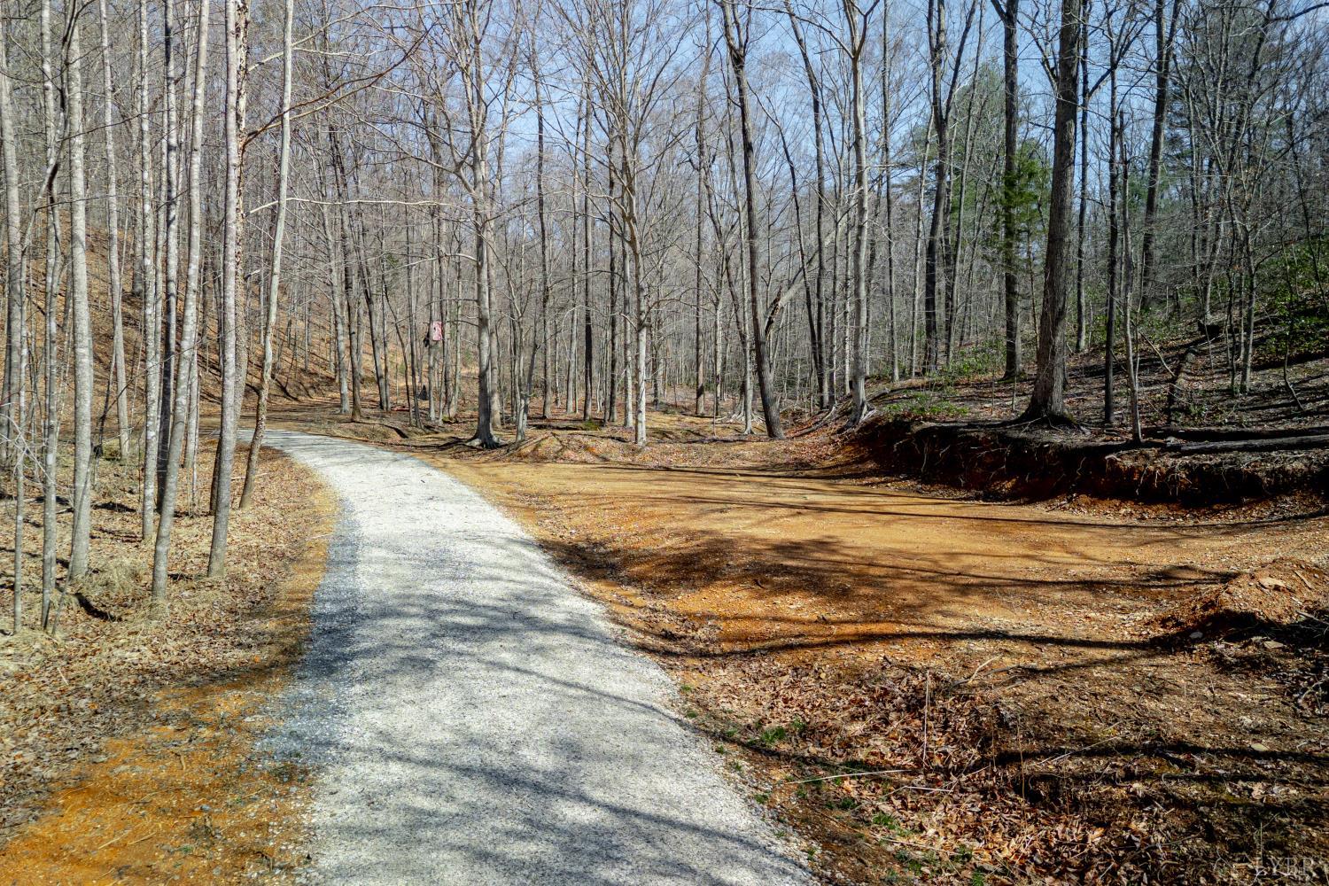 0 Christian Mill Creek Road Amherst, VA 24521 - Photo 10 of 27