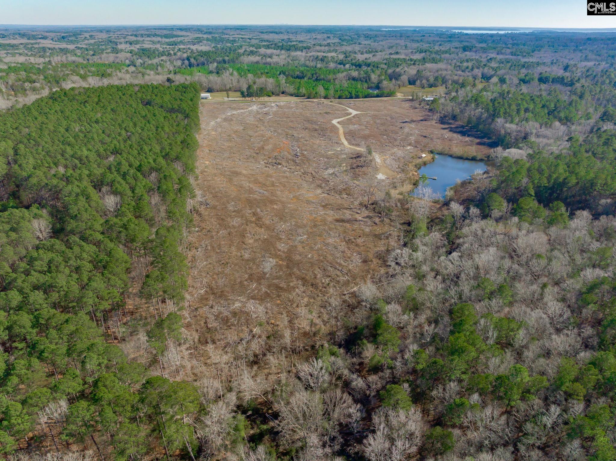 501 Crooked Creek Road Chapin, SC 29036 - Photo 9 of 28