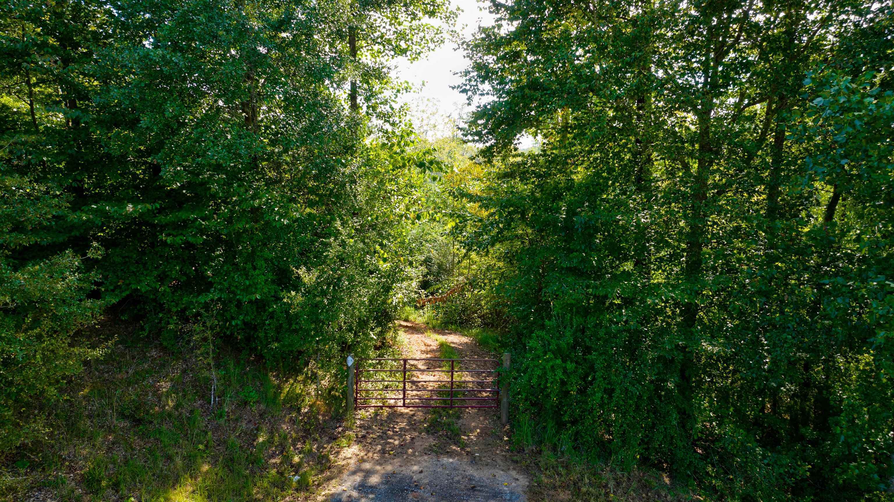 0 Mccoy Bridge Road Homer, GA 30547 - Photo 3 of 10