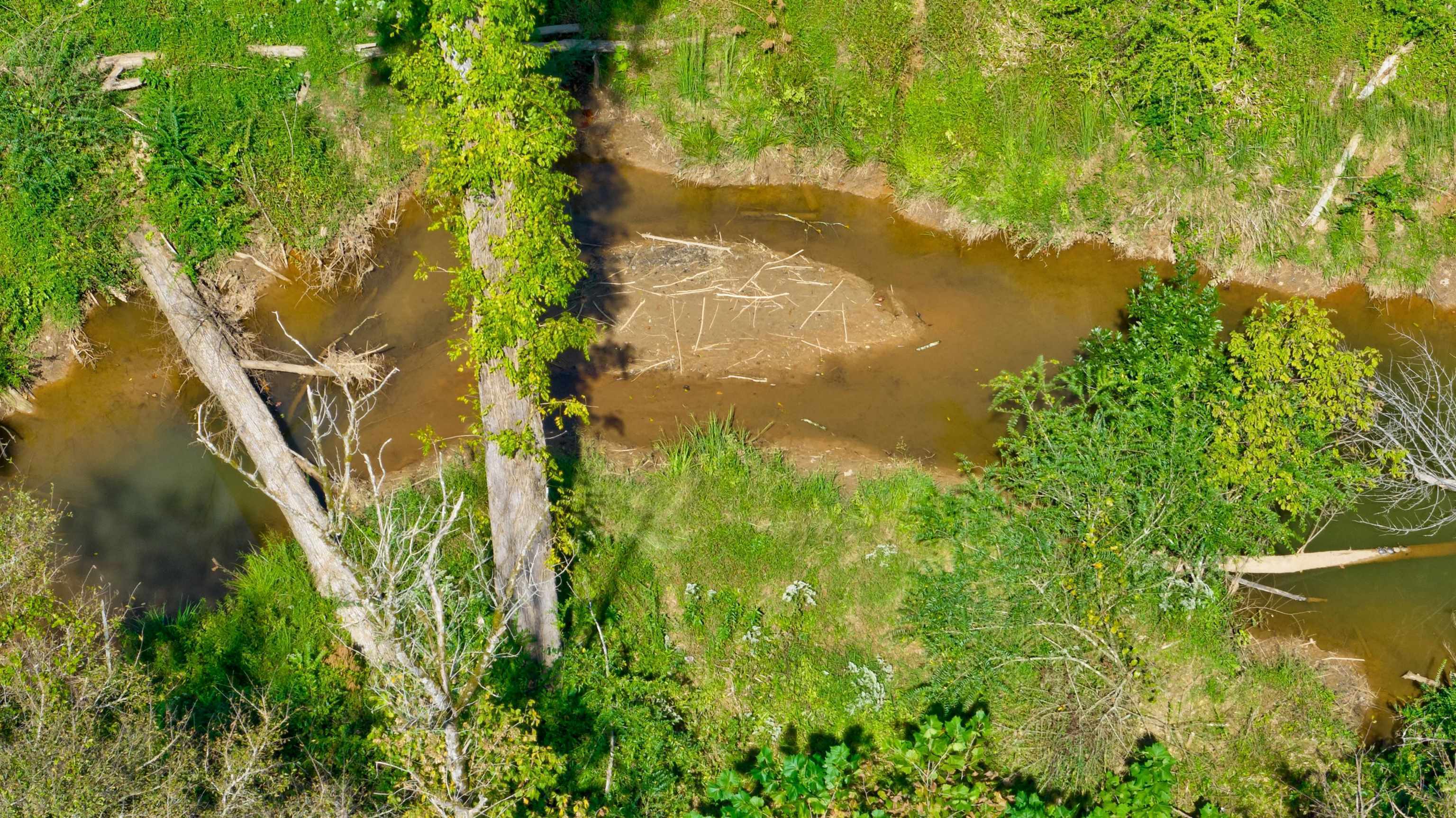 0 Mccoy Bridge Road Homer, GA 30547 - Photo 8 of 10
