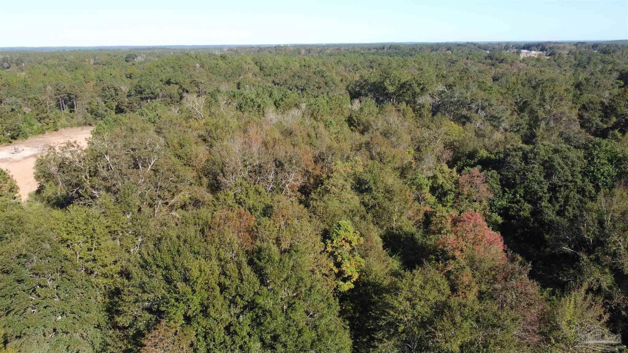 0 Cowpen Creek Road Atmore, AL 36502 - Photo 11 of 21