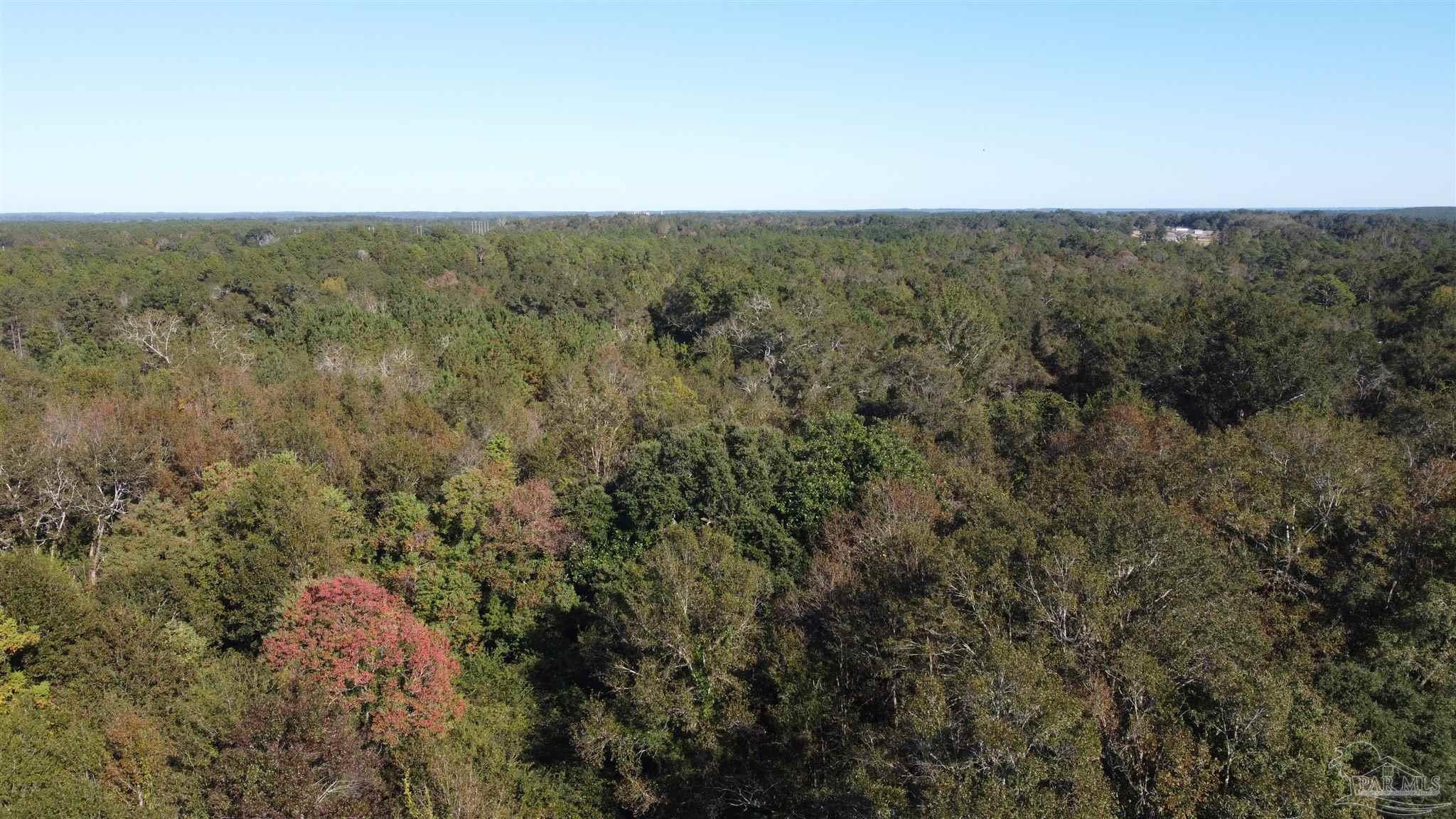 0 Cowpen Creek Road Atmore, AL 36502 - Photo 12 of 21