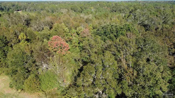 $127,500 | 0 Cowpen Creek Road, Atmore, AL 36502