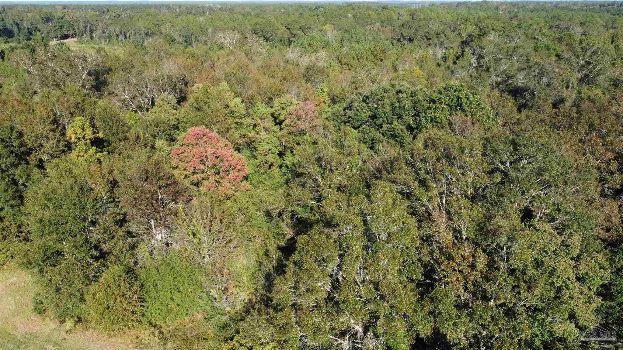 0 Cowpen Creek Road Atmore, AL 36502 - Photo 13 of 21