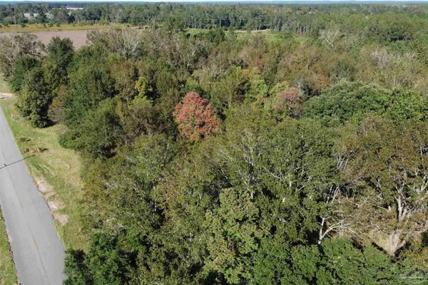 $127,500 | 0 Cowpen Creek Road, Atmore, AL 36502