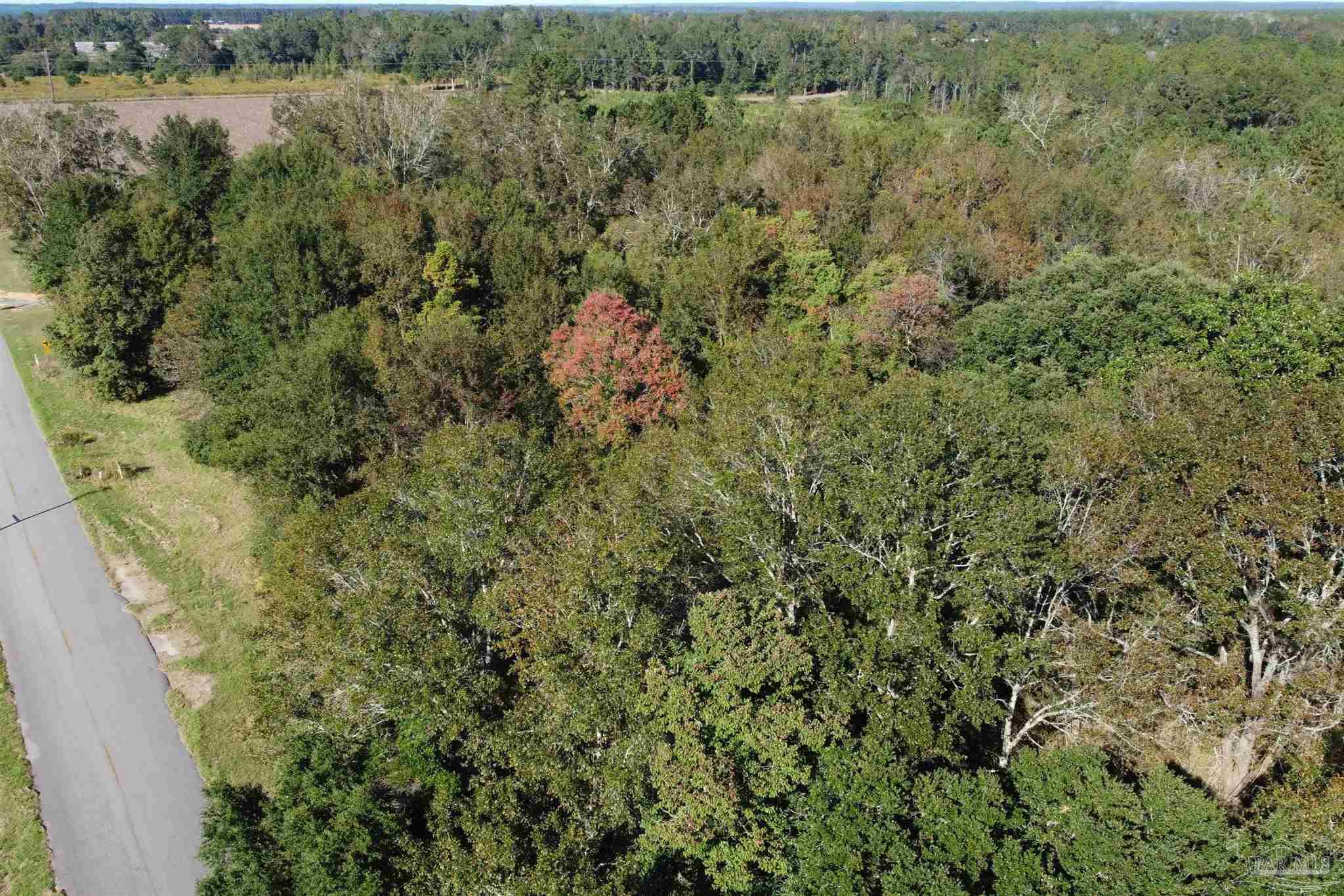 0 Cowpen Creek Road Atmore, AL 36502 - Photo 14 of 21