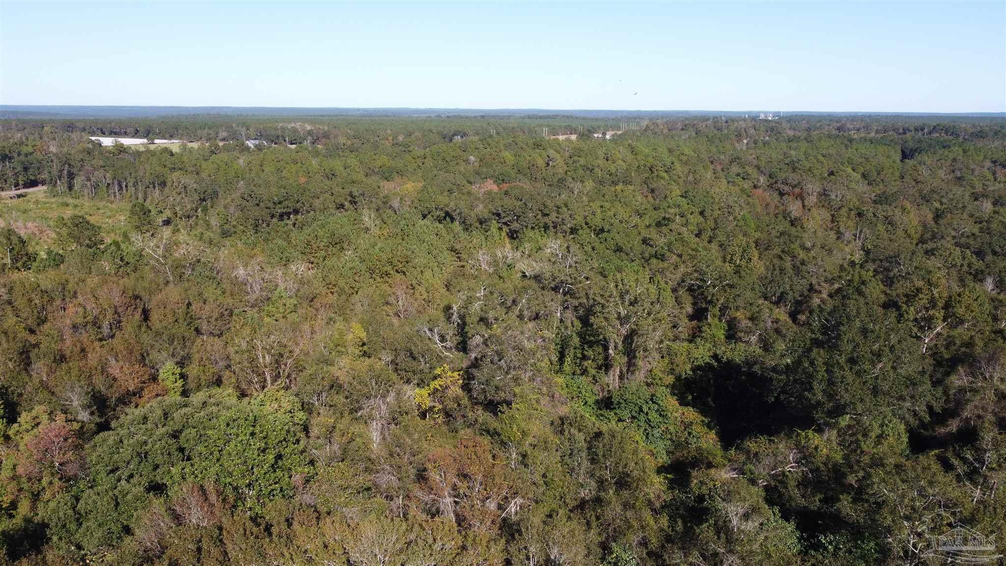 0 Cowpen Creek Road Atmore, AL 36502 - Photo 15 of 21