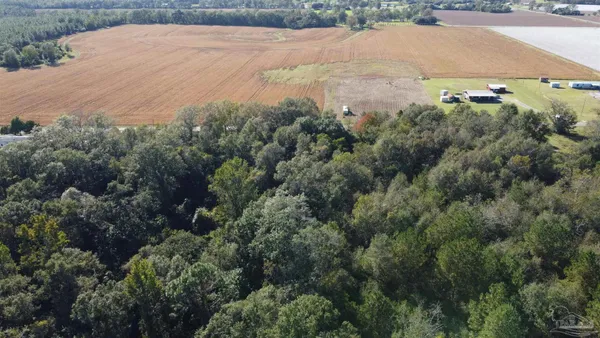 $127,500 | 0 Cowpen Creek Road, Atmore, AL 36502