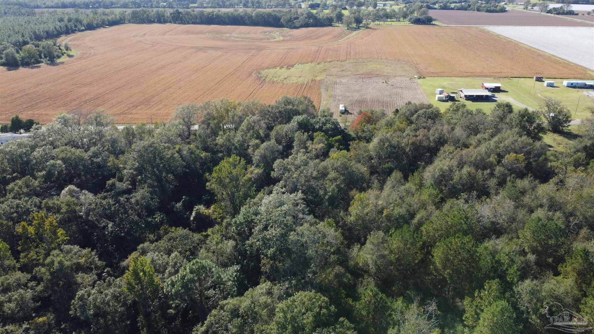 0 Cowpen Creek Road Atmore, AL 36502 - Photo 16 of 21