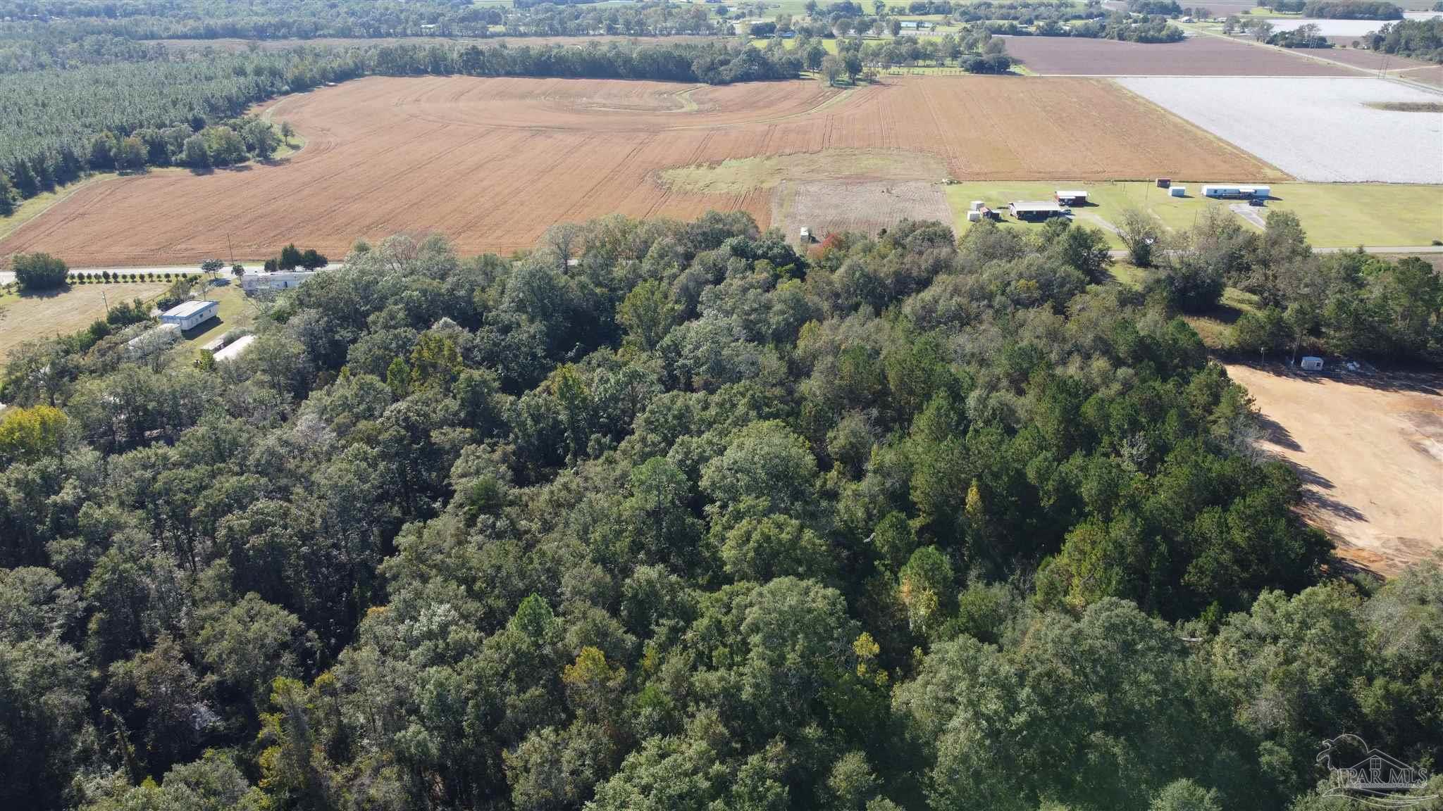 0 Cowpen Creek Road Atmore, AL 36502 - Photo 17 of 21