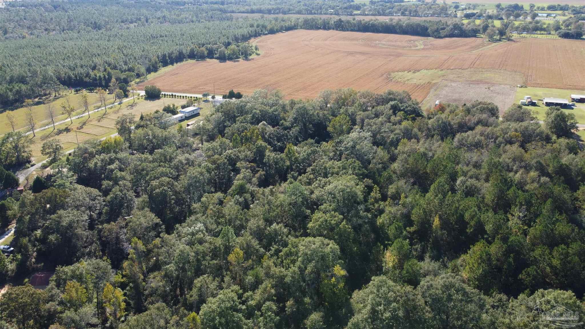 0 Cowpen Creek Road Atmore, AL 36502 - Photo 18 of 21