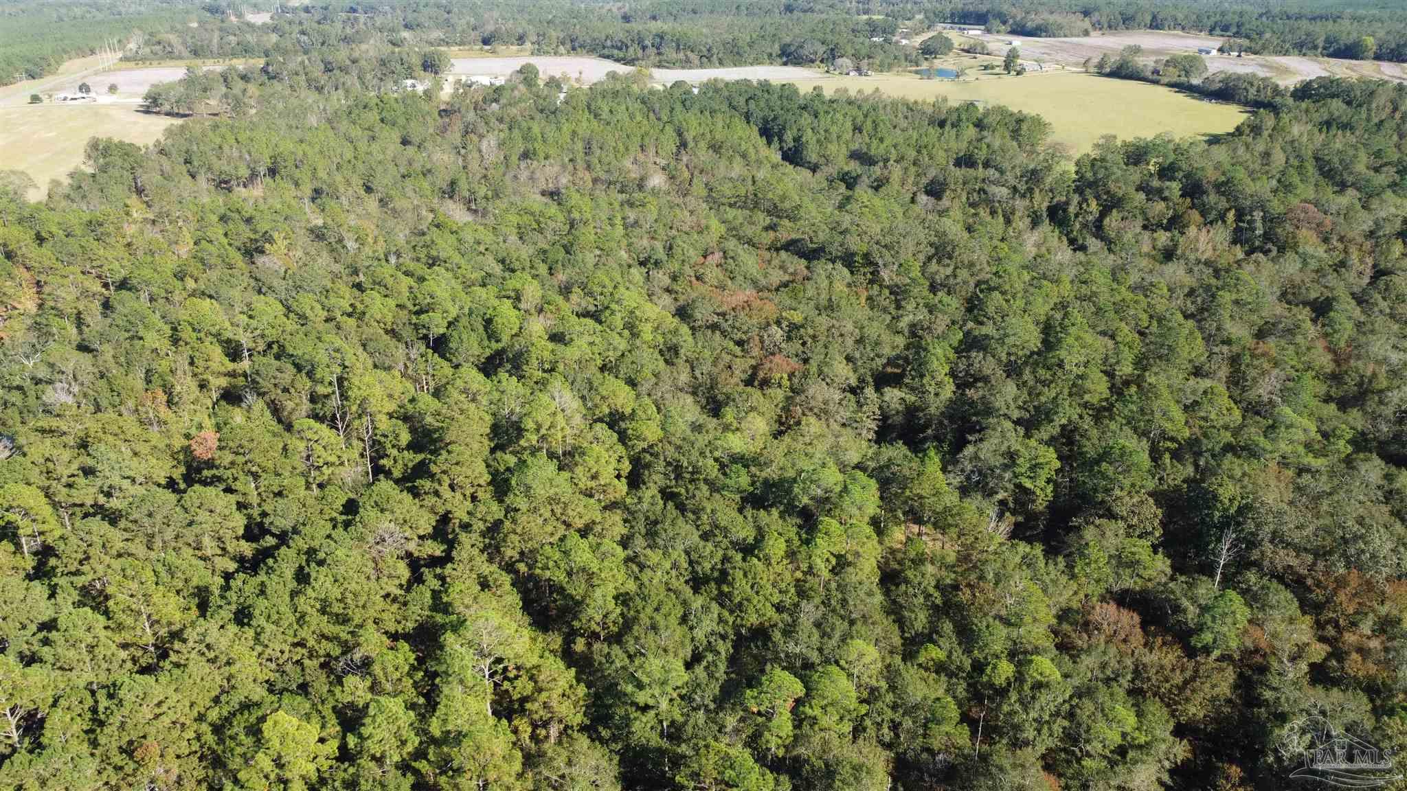 0 Cowpen Creek Road Atmore, AL 36502 - Photo 19 of 21