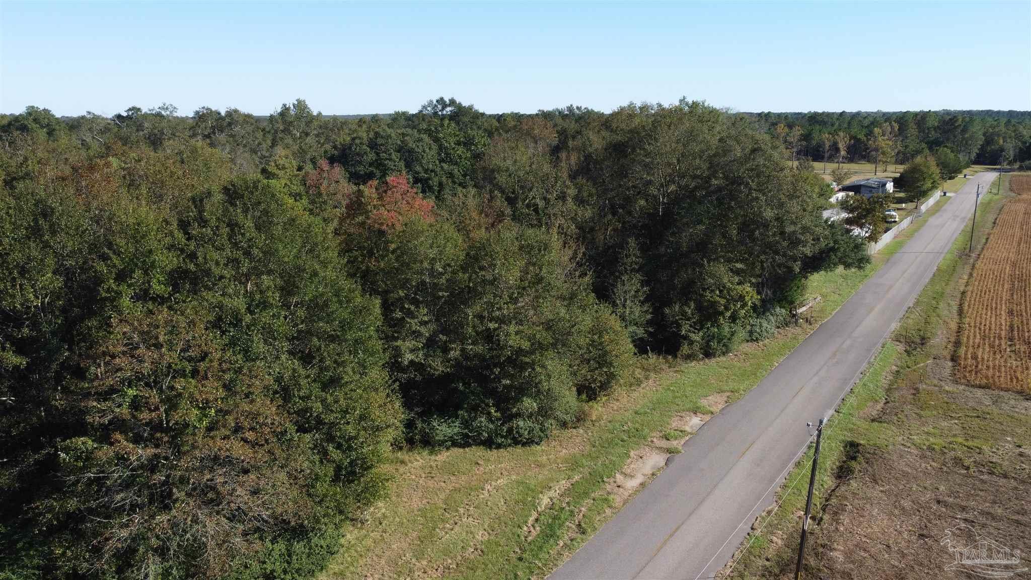 0 Cowpen Creek Road Atmore, AL 36502 - Photo 2 of 21