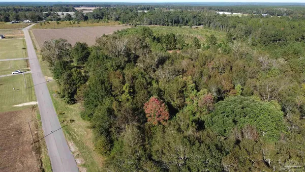 $127,500 | 0 Cowpen Creek Road, Atmore, AL 36502