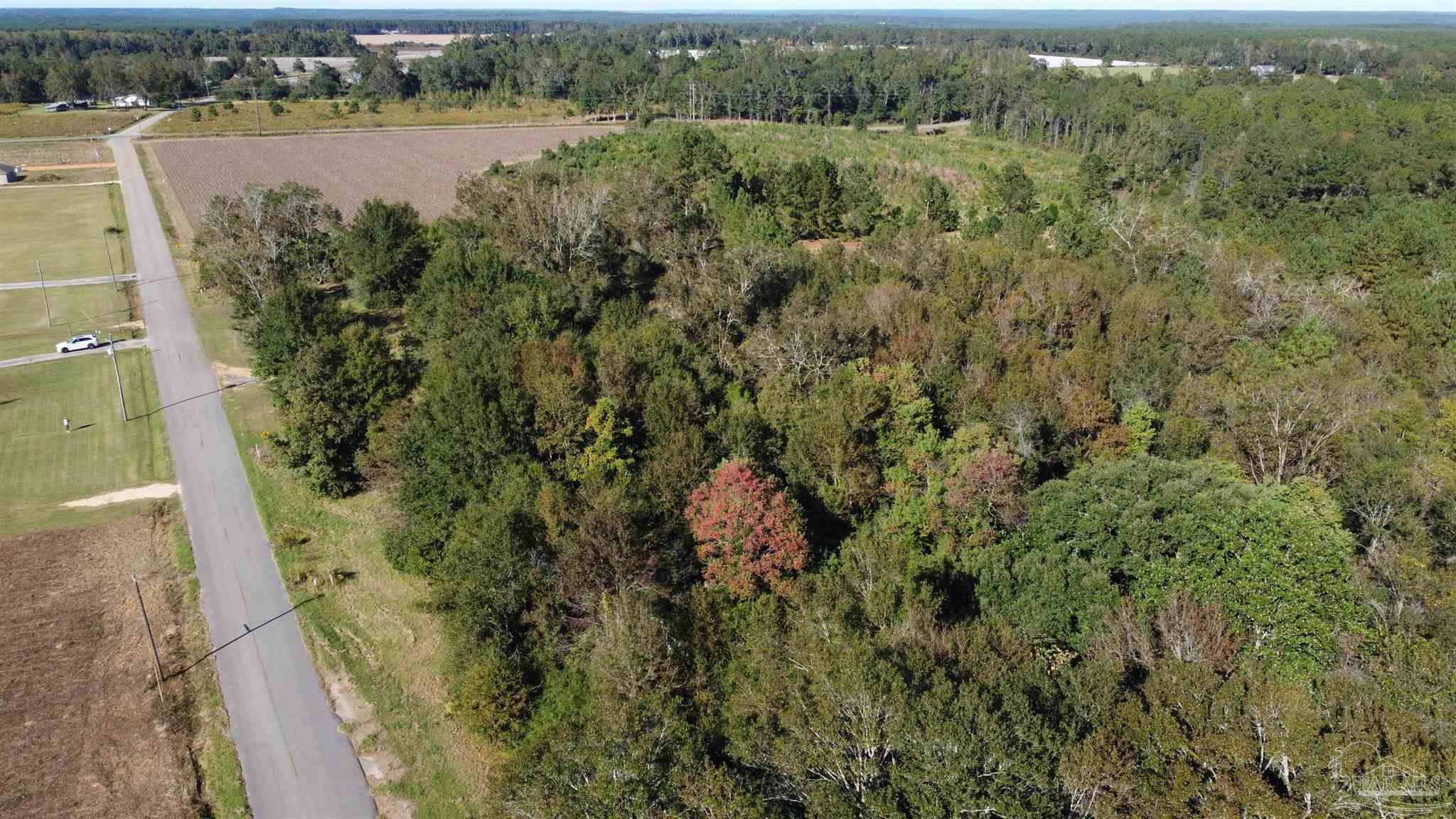 0 Cowpen Creek Road Atmore, AL 36502 - Photo 3 of 21