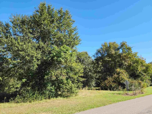 $127,500 | 0 Cowpen Creek Road, Atmore, AL 36502