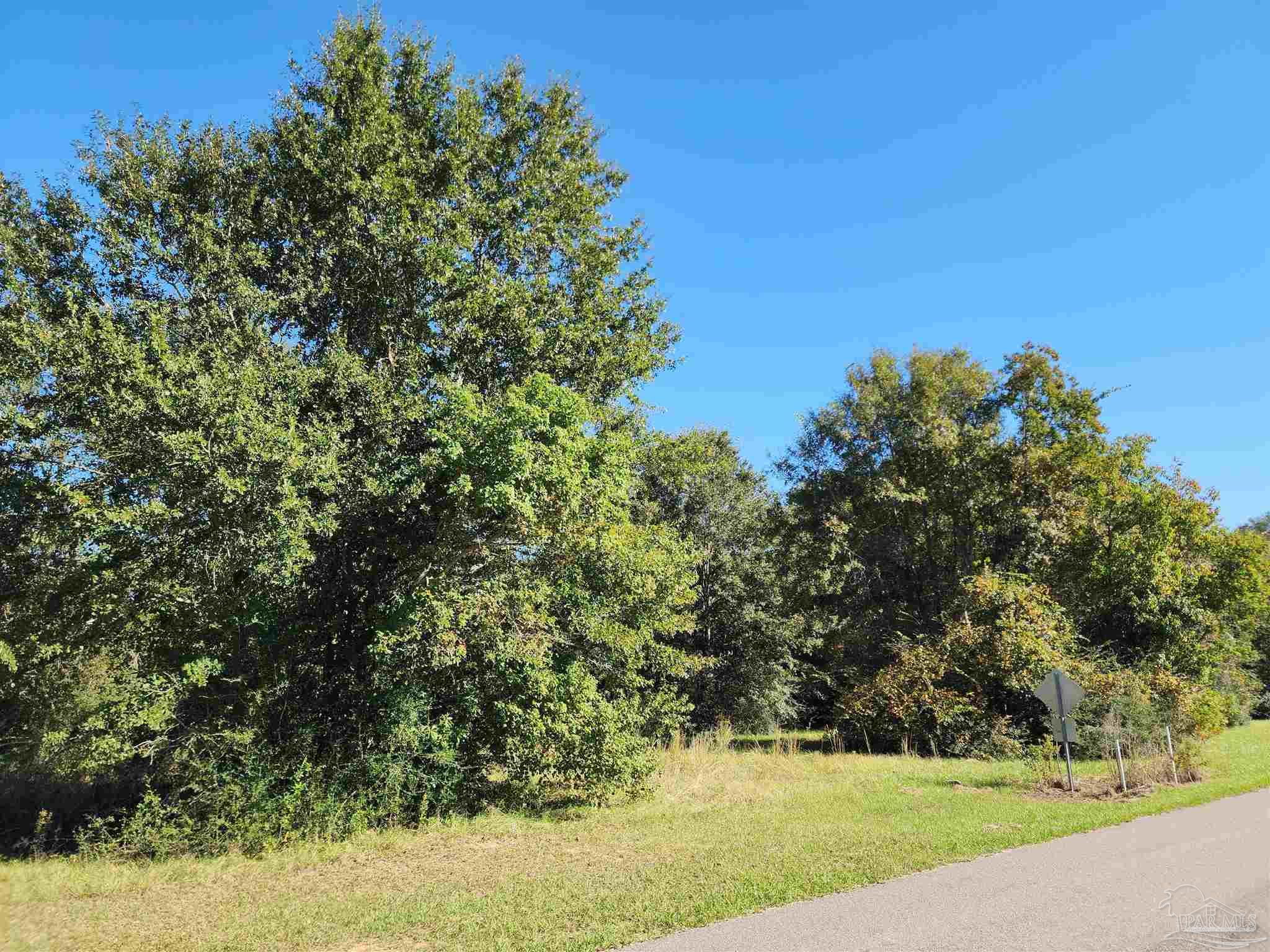 0 Cowpen Creek Road Atmore, AL 36502 - Photo 4 of 21