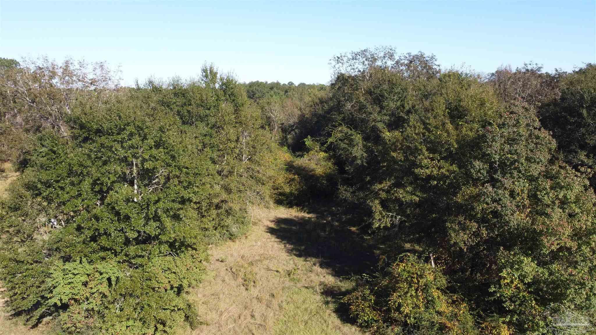 0 Cowpen Creek Road Atmore, AL 36502 - Photo 5 of 21