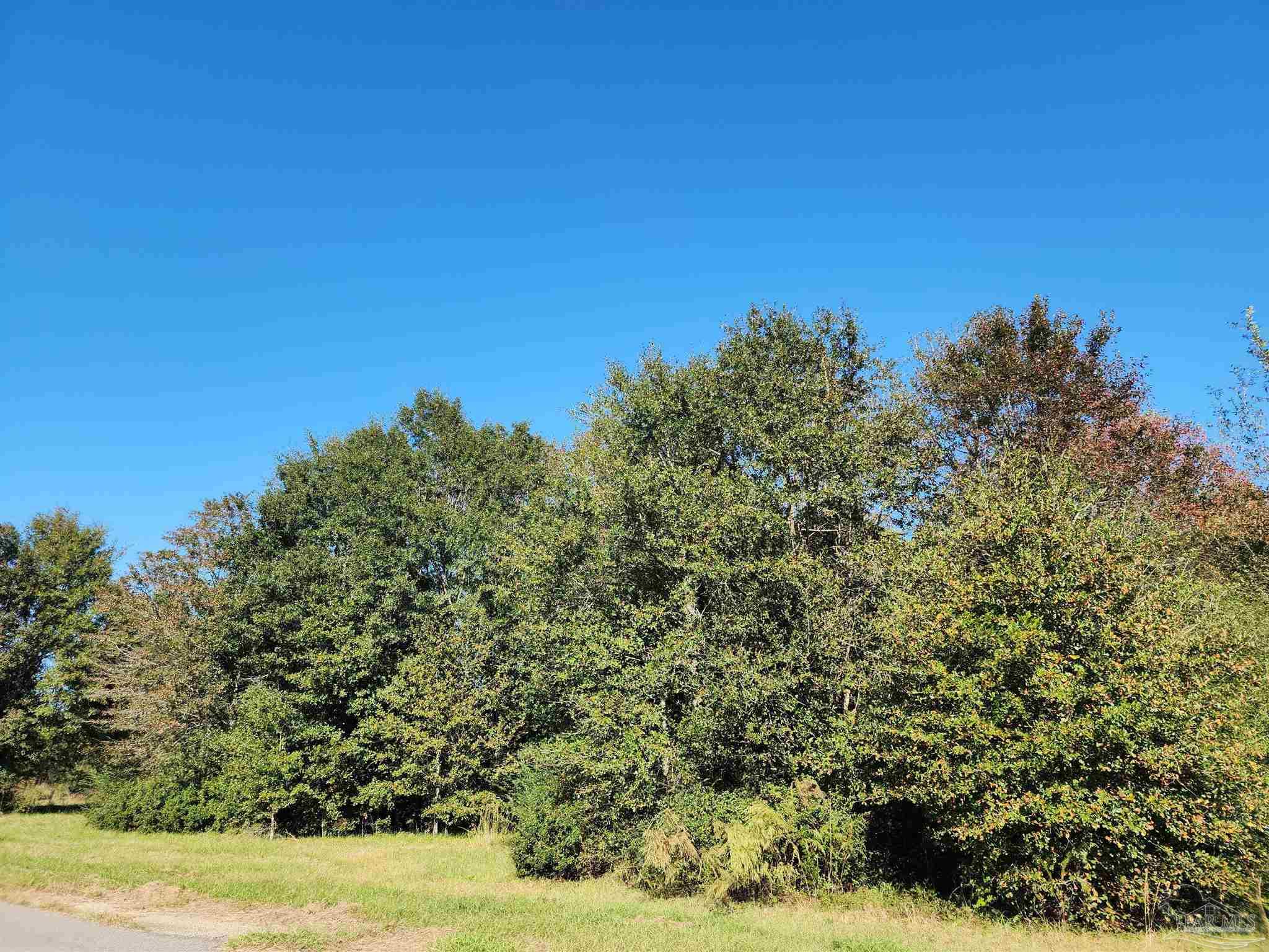 0 Cowpen Creek Road Atmore, AL 36502 - Photo 6 of 21