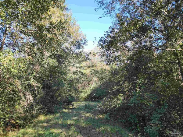 $127,500 | 0 Cowpen Creek Road, Atmore, AL 36502