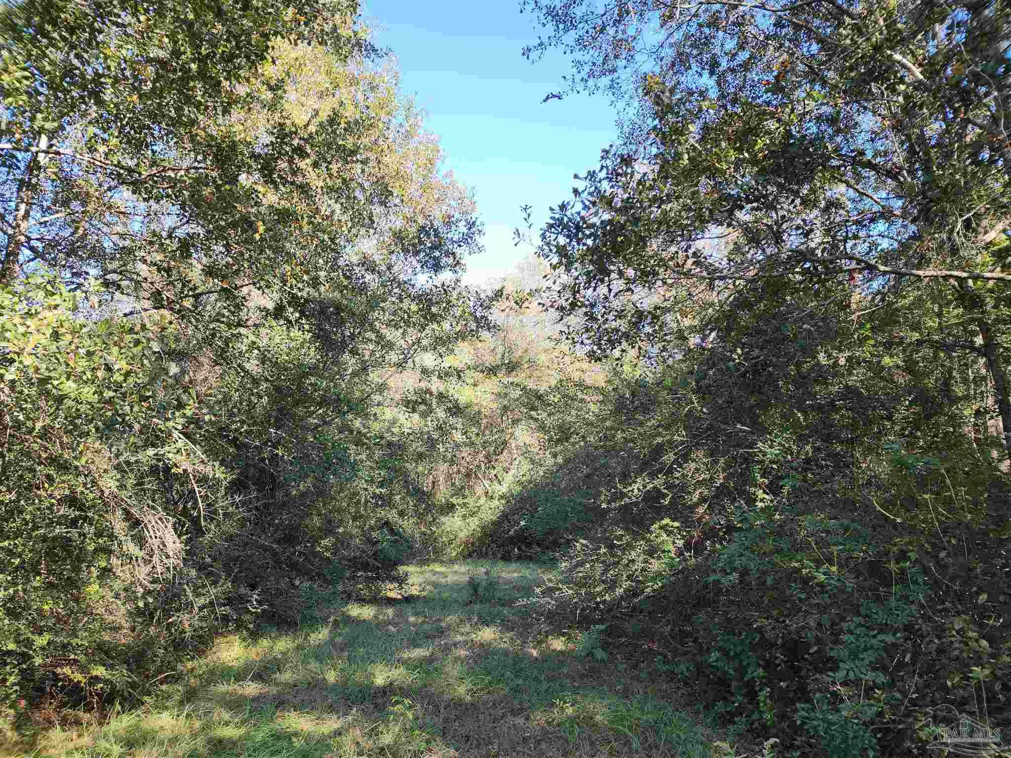 0 Cowpen Creek Road Atmore, AL 36502 - Photo 8 of 21