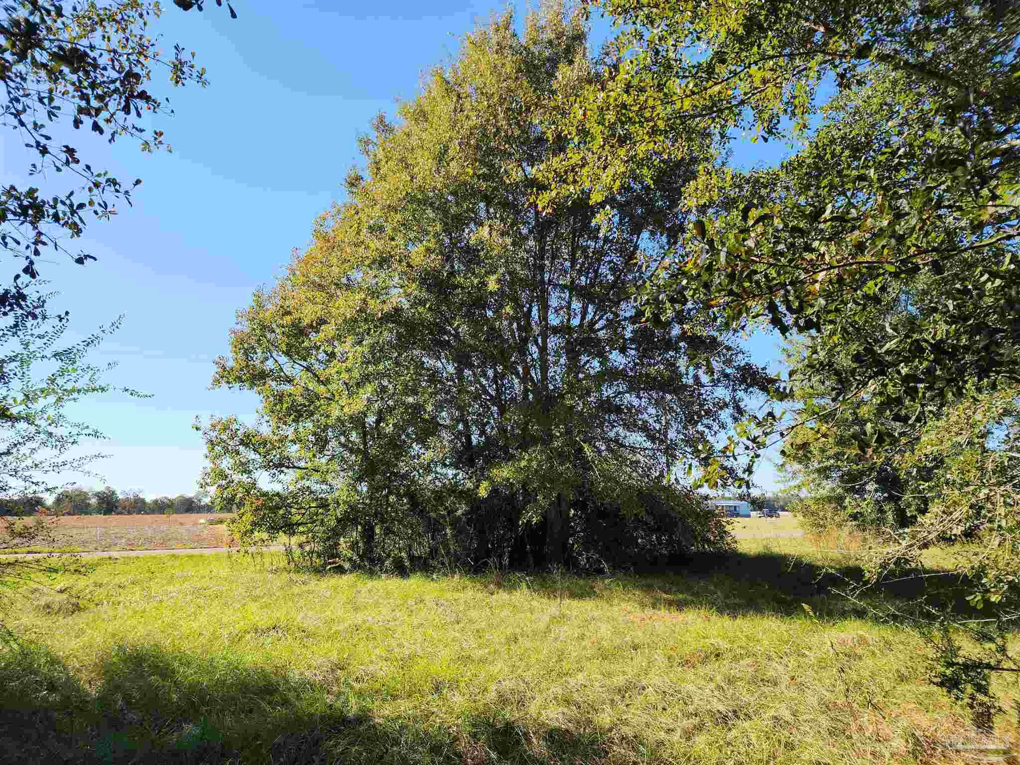 0 Cowpen Creek Road Atmore, AL 36502 - Photo 9 of 21