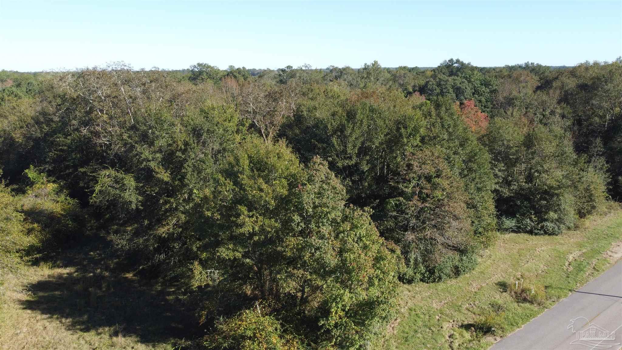 0 Cowpen Creek Road Atmore, AL 36502 - Photo 10 of 21