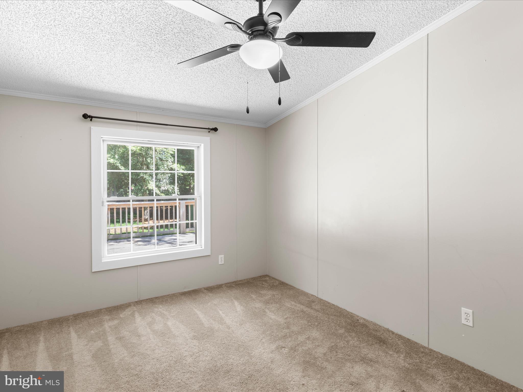 265 Sandbox Road Harrington, DE 19952 - Photo 14 of 25 Gallery Image 14