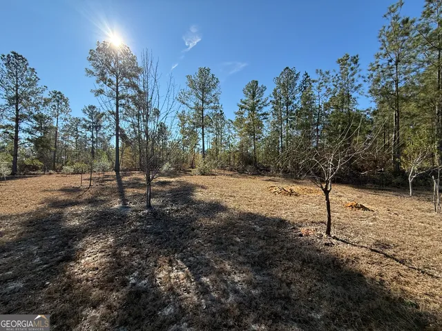 $95,000 | 728 Martin Road, Kite, GA 31049