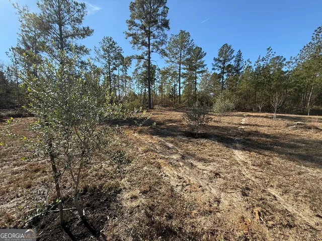 $95,000 | 728 Martin Road, Kite, GA 31049