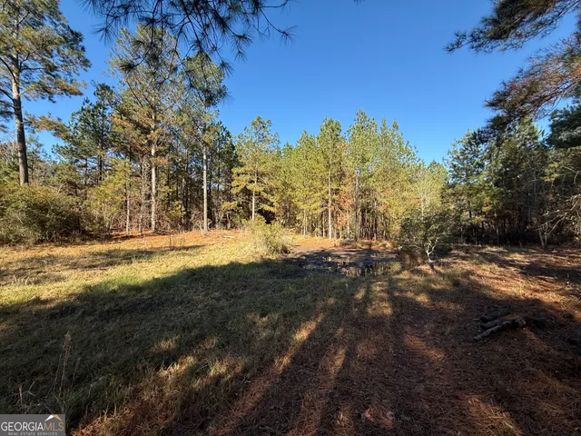 $95,000 | 728 Martin Road, Kite, GA 31049