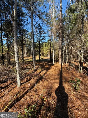 $95,000 | 728 Martin Road, Kite, GA 31049