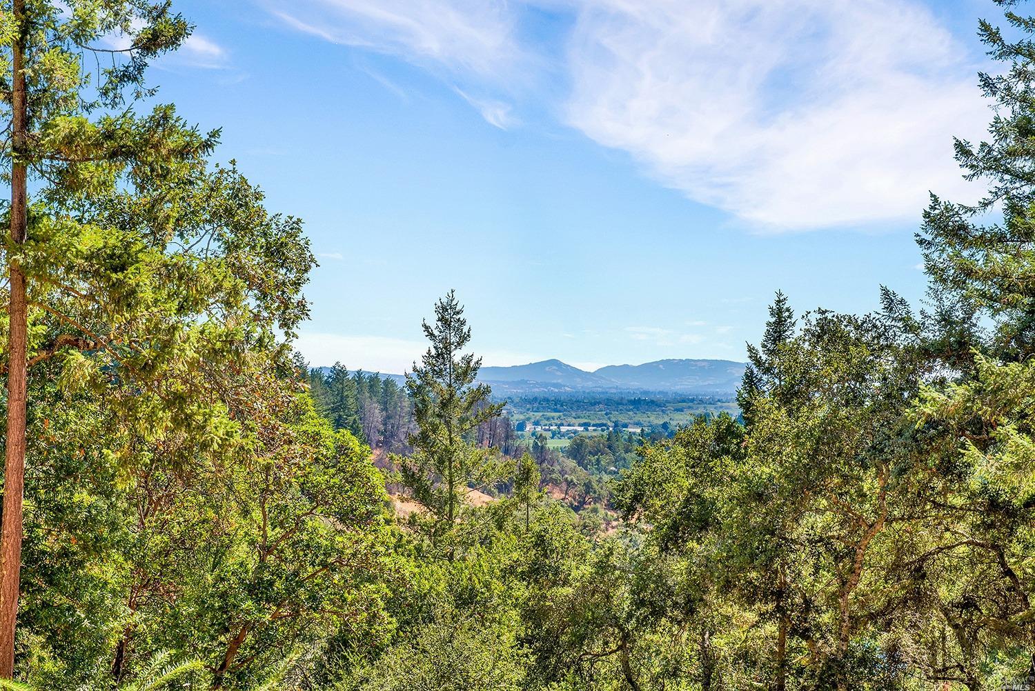 1240 Emerald Ranch Road Healdsburg, CA 95448 - Photo 1 of 1 a view of a bunch of trees and bushes