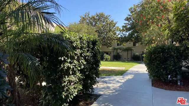 a view of a yard with plants and trees