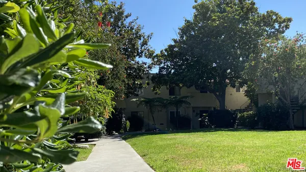 a view of a backyard with large trees