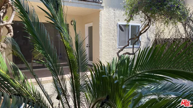 a view of a plant in front of a house