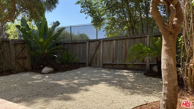 a view of a tree with a backyard