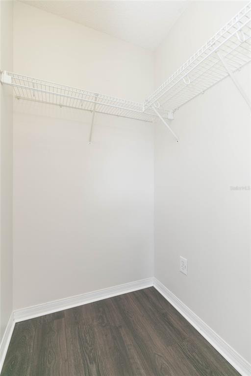 28632 Seashell Court Wesley Chapel, FL 33545 - Photo 43 of 60