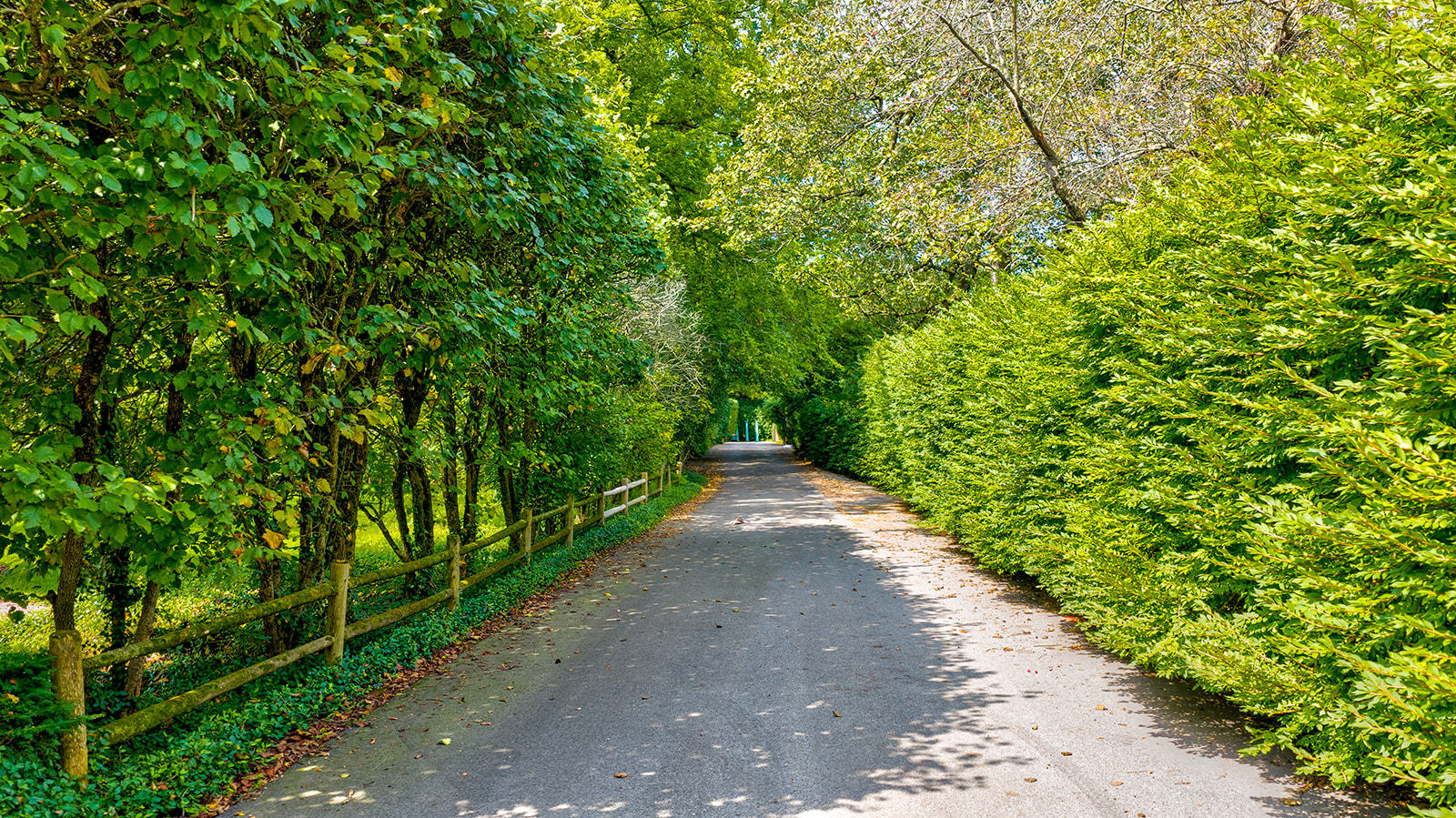 64 Locust Road Winnetka, IL 60093 - Photo 46 of 50 Gallery Image 46