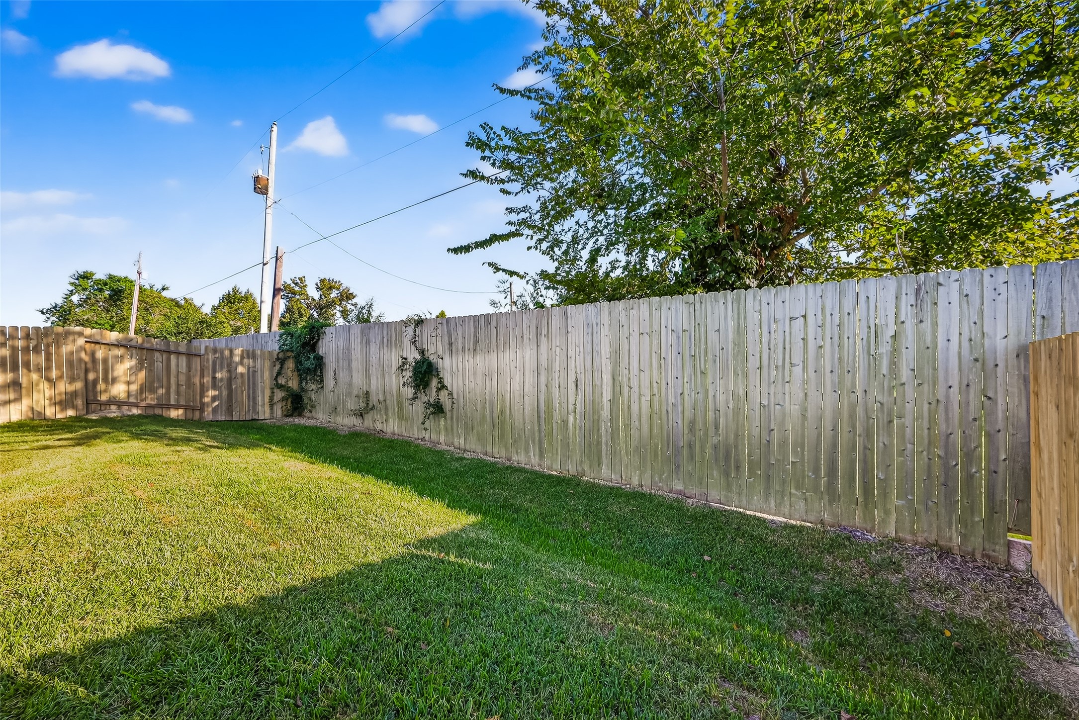 228 Laura Leigh Lane Angleton, TX 77515 - Photo 34 of 37 a backyard of a house with lots of green space
