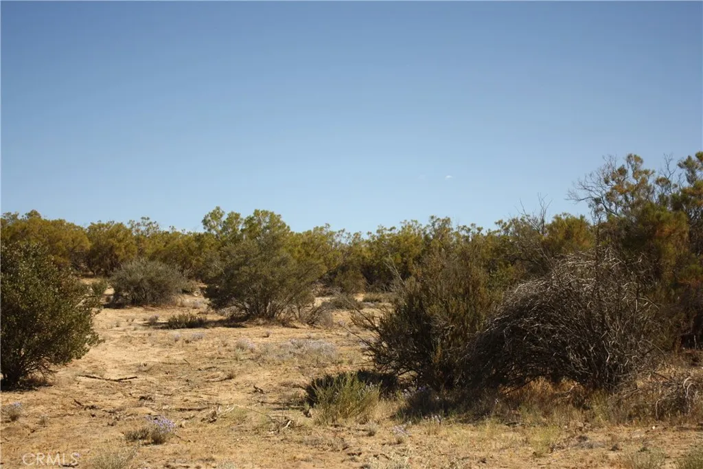 0 Pony Anza, CA 92539 - Photo 7 of 23